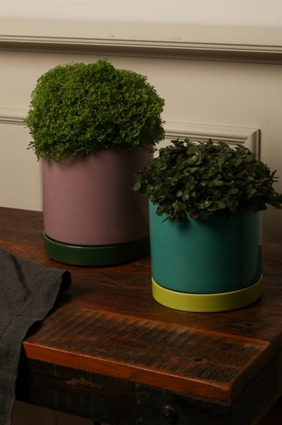 Stylischer Blumentopf mit Untersetzer – 3 verschiedene Farben, Keramik groß