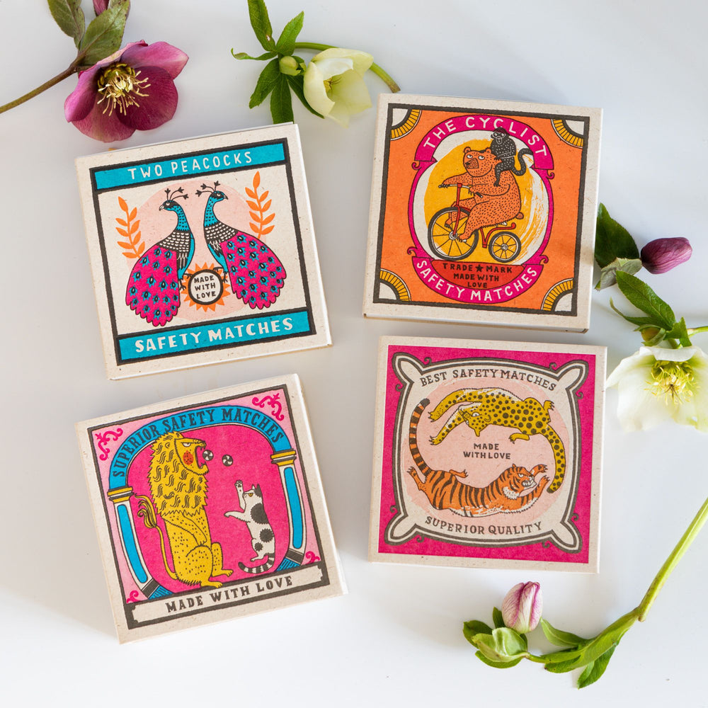 Chasing Big Cats – Streichhölzer in quadratischer Box