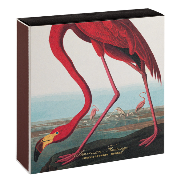 American Flamingo – Streichhölzer in quadratischer Box