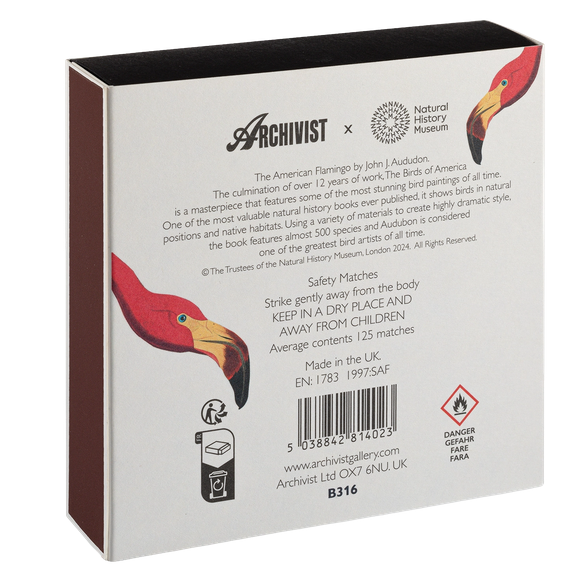 American Flamingo – Streichhölzer in quadratischer Box
