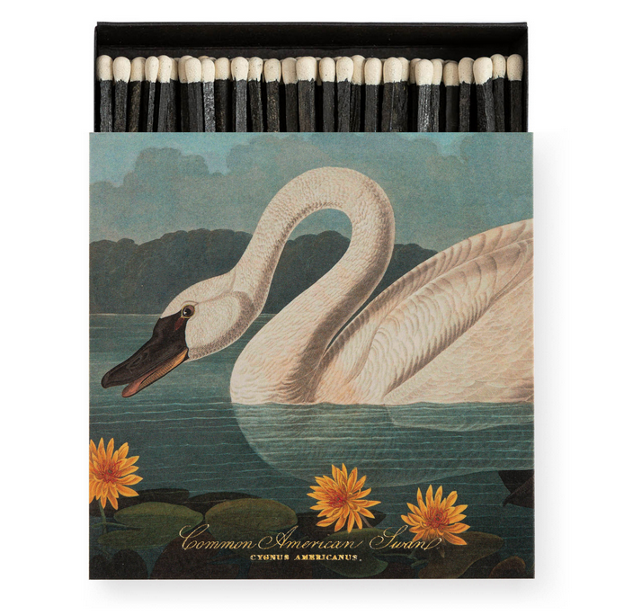 "The Common American Swan" – Luxus-Streichholzschachtel von Audubon