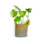 Flacher Wäschekorb Bima Seegras aqua/natur